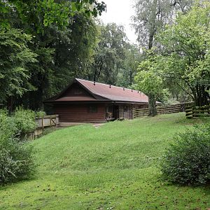 South America Tapir stable