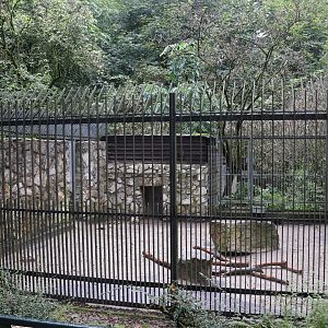 Indian Crested Porcupine second enclosure