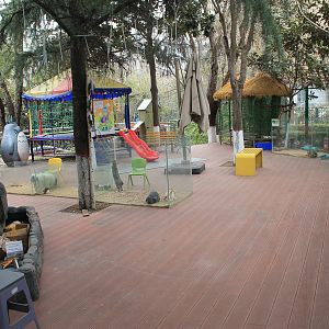 Entrance room - Zhoudao Cute Pet Paradise