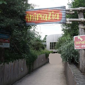 Animazia - Entrance, 2024-06-23