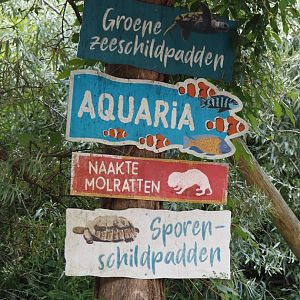 Animazia - Signage, 2024-06-23