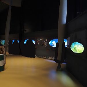 Animazia - Aquarium area, 2024-06-23