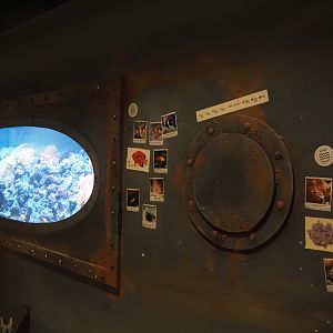 Animazia - Framing around tanks and signage in aquarium area, 2024-06-23