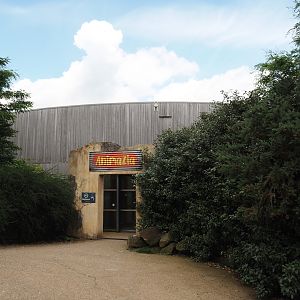 Animazia - Upper entrance, 2024-06-23