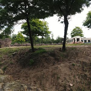 Serenga - Domestic Bactrian camel and Persian onager exhibit, 2024-06-23