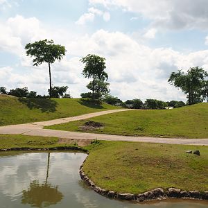 Serenga - African savanna exhibit, 2024-06-23