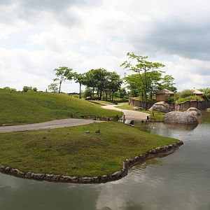 Serenga - African savanna exhibit, 2024-06-23
