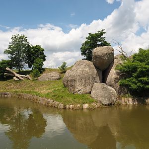 Serenga - African lion exhibit, 2024-06-23