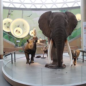 Shaanxi Nature Museum