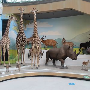 Shaanxi Nature Museum