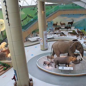 View from above - Shaanxi Nature Museum