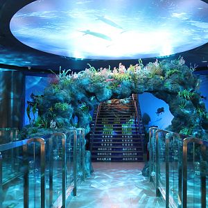 Fish, second floor - Shaanxi Nature Museum