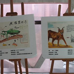 Shaanxi Nature Museum