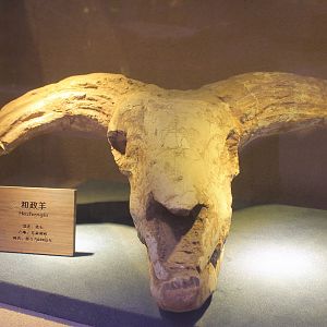 Hezhengia bohlini - Shaanxi Nature Museum