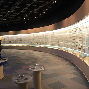 Insect displays - Shaanxi Nature Museum