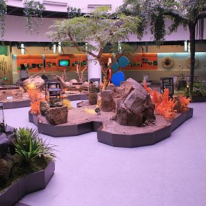 Live insect displays - Shaanxi Nature Museum