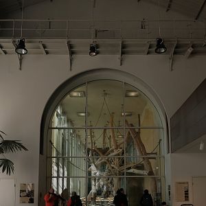 ORANG.erie Interior (Oct 2024)