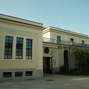 Monkey House - Exterior (Fall 2024)