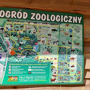 Zoo Lesne Zacisze (Lisow) - Map
