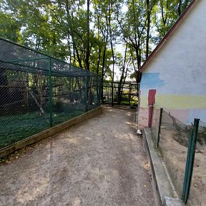 Zoo Lesne Zacisze (Lisow) - Meerkat and Sumatran Prevost's Squirrel enclosure