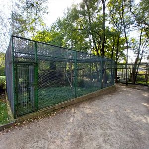 Zoo Lesne Zacisze (Lisow) - Sumatran Prevost's Squirrel enclosure