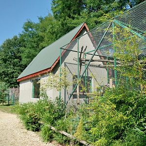 Zoo Lesne Zacisze (Lisow) - Collared Mangabey building