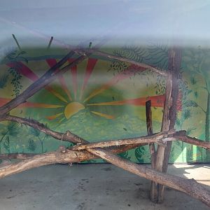 Zoo Lesne Zacisze (Lisow) - Collared Mangabey building