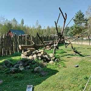 Zoo Lesne Zacisze (Lisow) - Red-bellied lemur enclosure