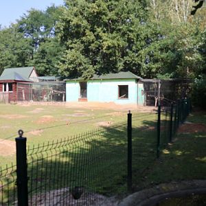 Zoo Lesne Zacisze (Lisow) - Buildings fltr red-bellied lemur, l'hoest guenon and grivet monkey
