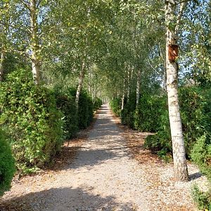 Zoo Lesne Zacisze (Lisow) - General view
