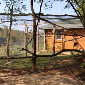 Zoo Lesne Zacisze (Lisow) - Australian aviary