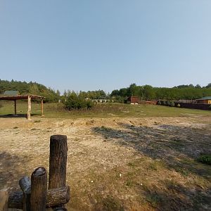 Zoo Lesne Zacisze (Lisow) - White-tailed Wildebeest (Connochaetes gnou)