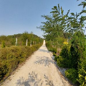 Zoo Lesne Zacisze (Lisow) - General view