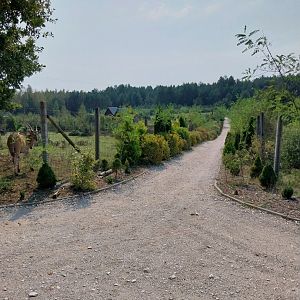 Zoo Lesne Zacisze (Lisow) - General view