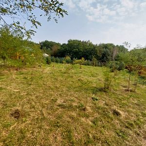 Zoo Lesne Zacisze (Lisow) - Maned Wolf (Chrysocyon brachyurus) enclosure