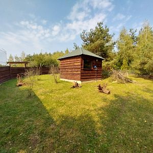 Zoo Lesne Zacisze (Lisow) - Common Red-rumped Agouti enclosure