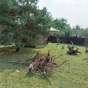 Zoo Lesne Zacisze (Lisow) - Common Red-rumped Agouti enclosure