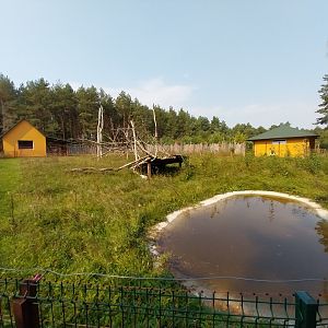 Zoo Lesne Zacisze (Lisow) - Brown Capuchin enclosure
