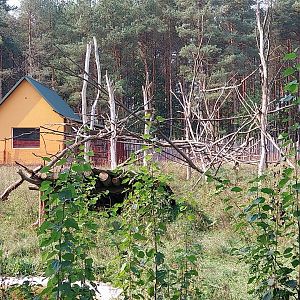 Zoo Lesne Zacisze (Lisow) - Brown Capuchin enclosure