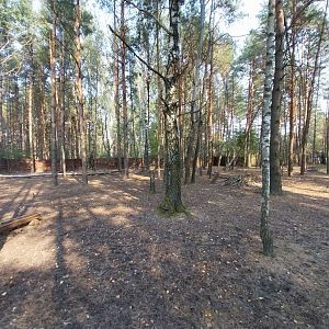 Zoo Lesne Zacisze (Lisow) - Barasingha (Rucervus duvaucelii) enclosure