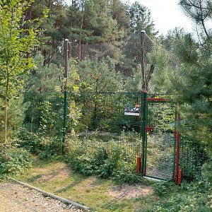 Zoo Lesne Zacisze (Lisow) - Golden Pheasant aviary