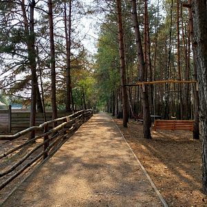 Zoo Lesne Zacisze (Lisow) - General view