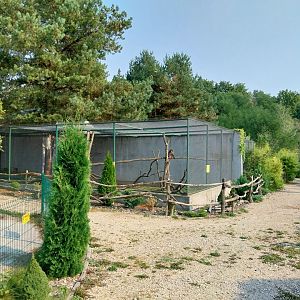 Zoo Lesne Zacisze (Lisow) - Japanese Macaque (Macaca fuscata) enclosure