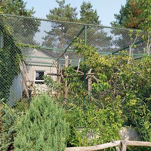 Zoo Lesne Zacisze (Lisow) - Mixed species aviary