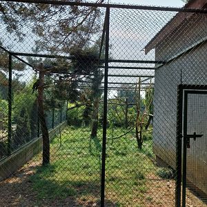 Zoo Lesne Zacisze (Lisow) - Mixed species aviary
