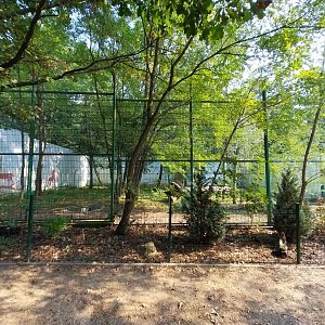 Zoo Lesne Zacisze (Lisow) - Former lion enclosure