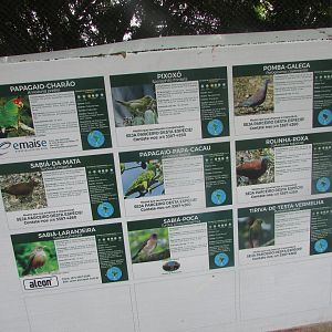 BioParque Zoo Pomerode - Signage in the walthrough aviary