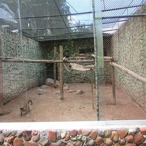 BioParque Zoo Pomerode - Horned capuchin exhibit