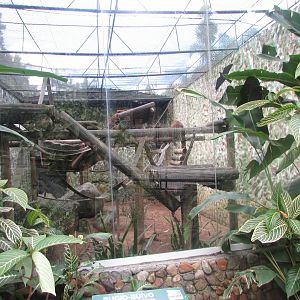 BioParque Zoo Pomerode - Brown howler exhibit