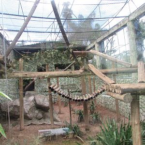 BioParque Zoo Pomerode - Black howler exhibit